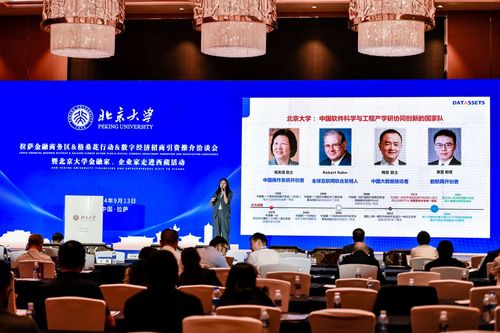 數字經濟新引擎 2024拉薩金融商務區格?；ㄐ袆诱猩桃Y洽談會啟航